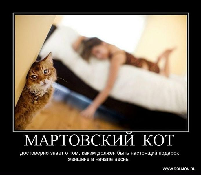 №56, Денис Петровичев, 29 лет, Санкт-Петербург №56, Денис Петровичев, 29 лет, Санкт-Петербург