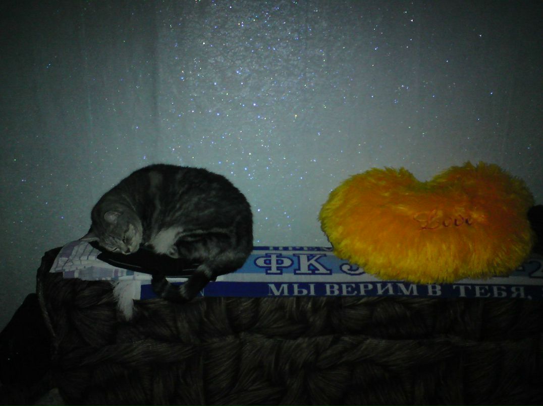 Роман Радионов (...) | Санкт-Петербург