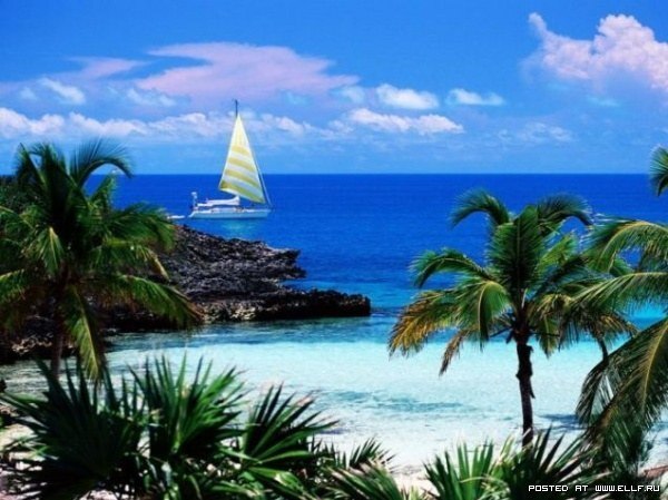 Самир Алиев | Москва