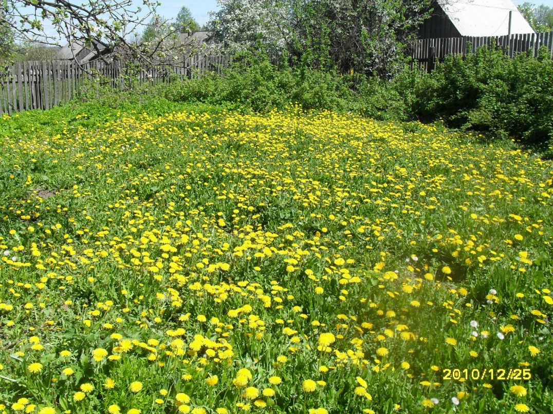 Виктор Шорин | Инта