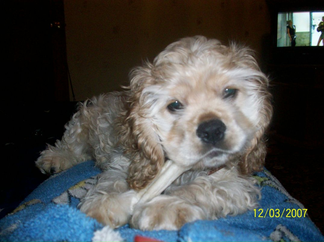 Даша Хамутинина Pandochka | Николаев