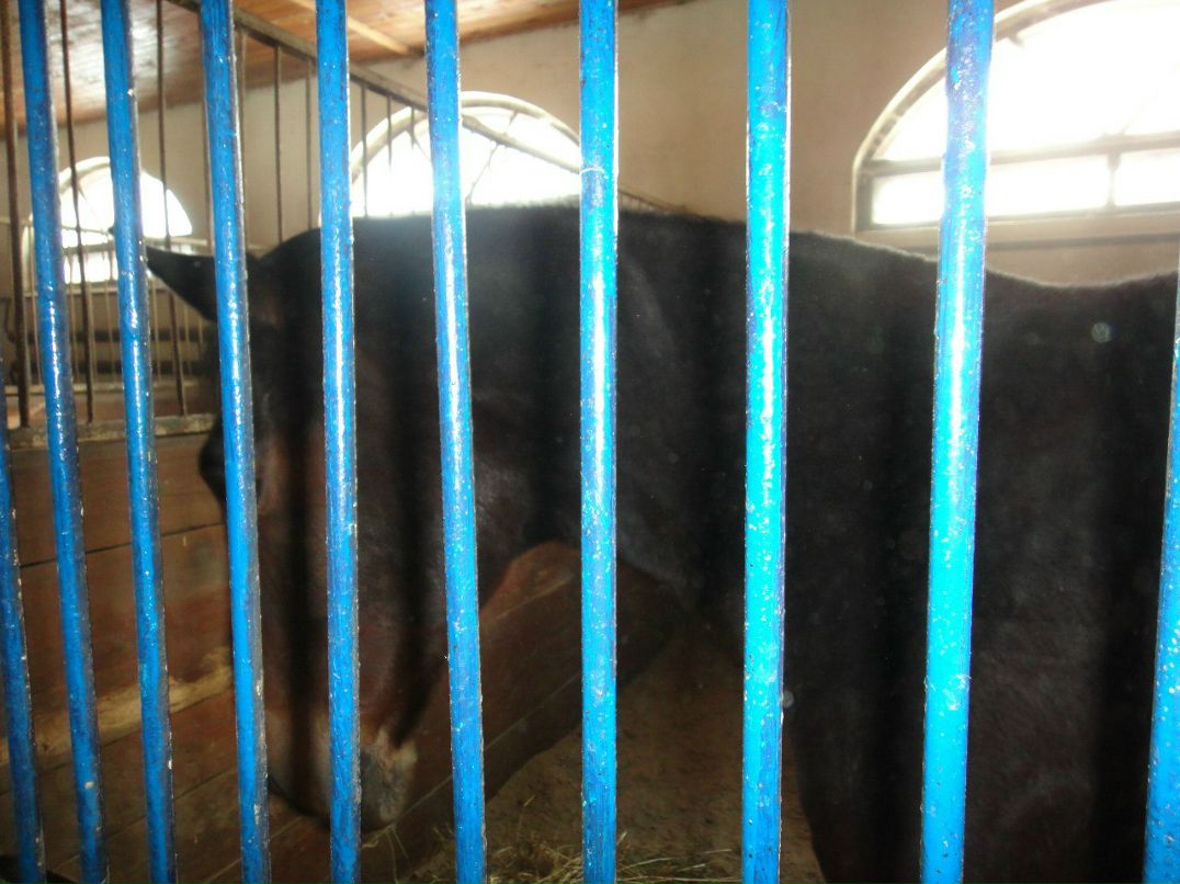 Сашка Видимка | Казань