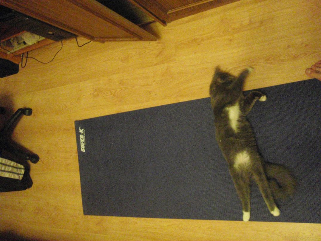 Андрей Полднев =][Rimlyanin][= | Санкт-Петербург