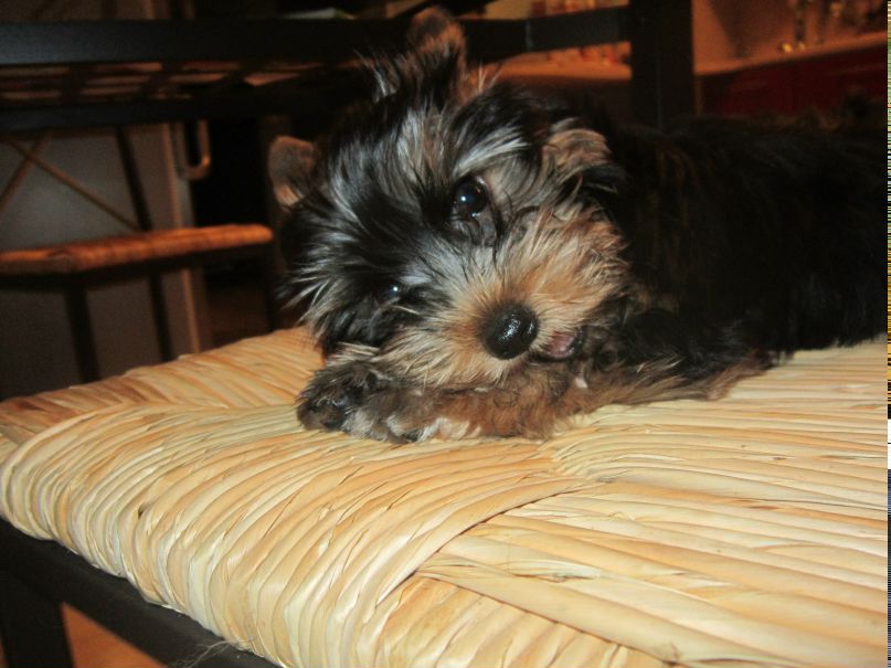 Ольга Афанасьева | Псков