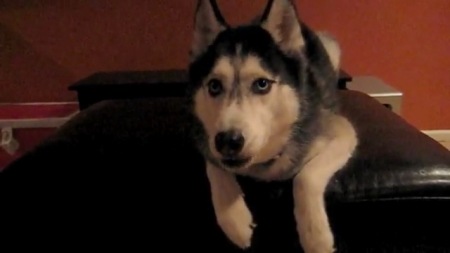 №25, Валерия Котова, Москва №25, Валерия Котова, Москва