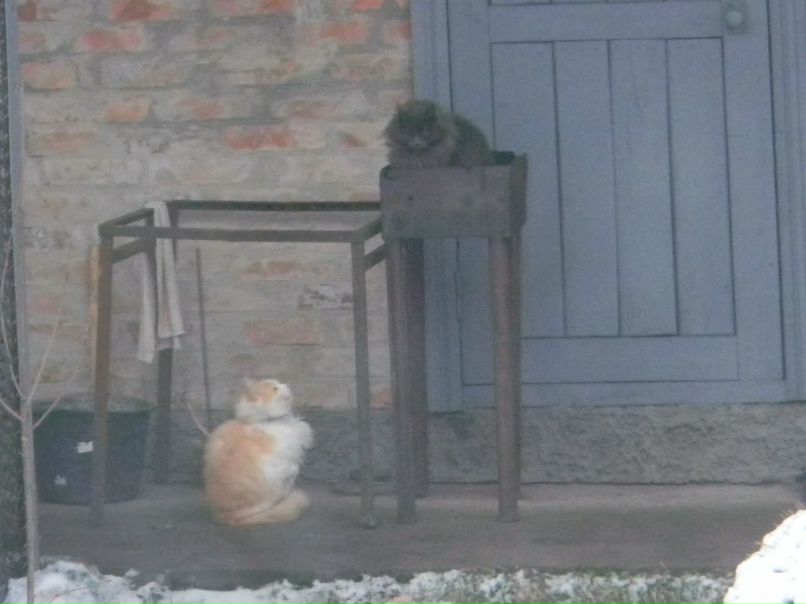 Анатолий Удовенко | Золотоноша