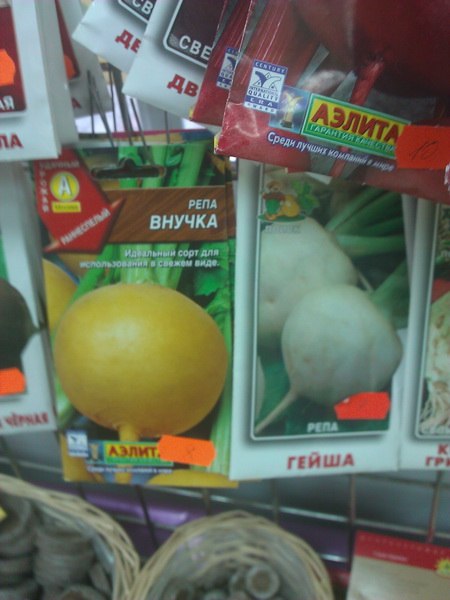 Денис Блиц | Тамбов