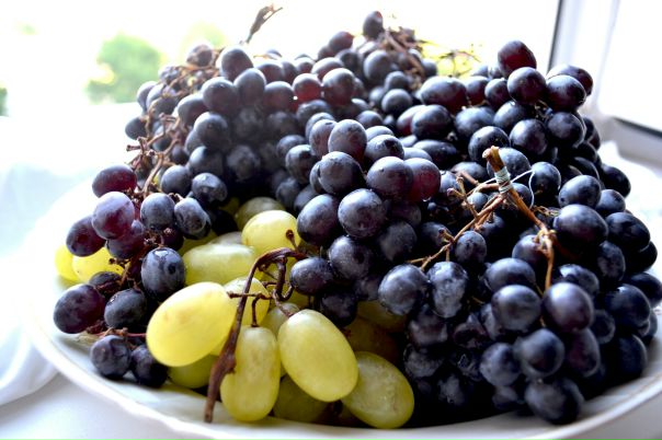 №142, Елена Кокош, 34 года, Тольятти №142, Елена Кокош, 34 года, Тольятти