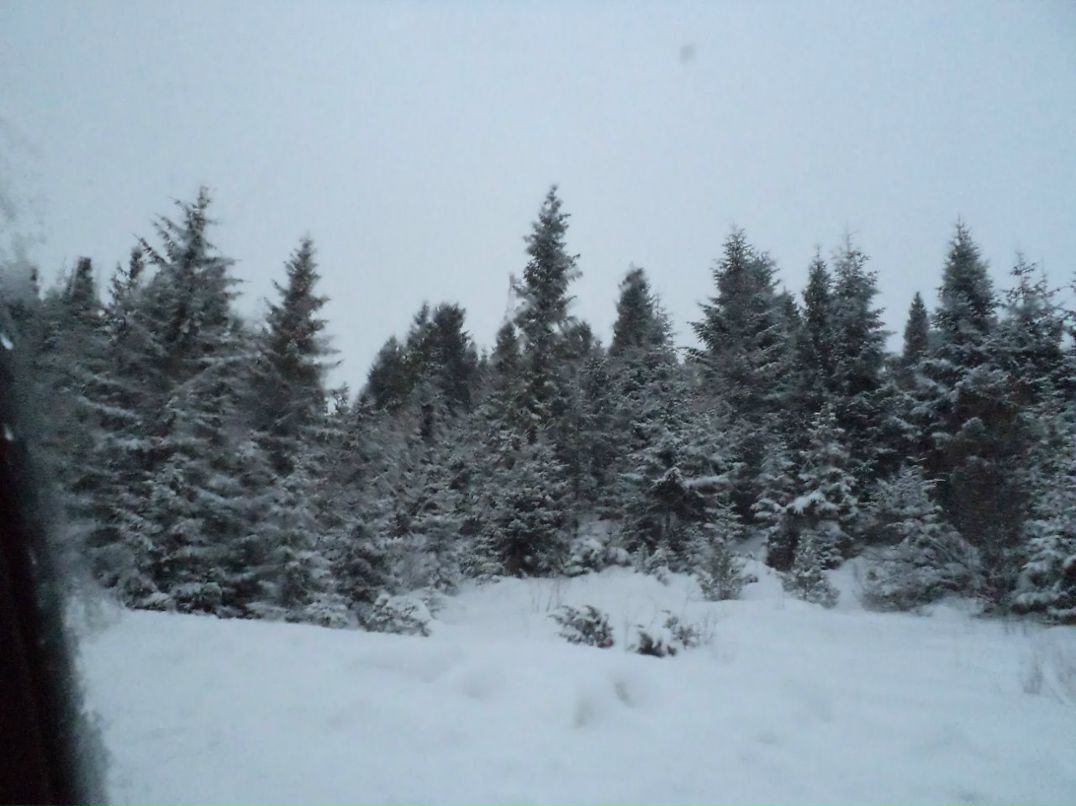 Міша Куцак | Верхнее