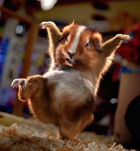 Анатолий Петров Алексеевич | Уфа