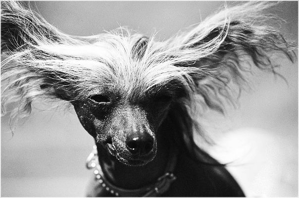 №119, Ириша Розмарин, Одесса №119, Ириша Розмарин, Одесса