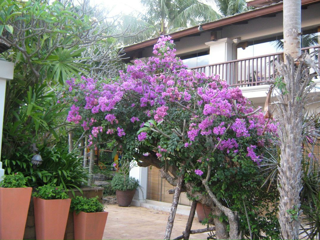 Светлана Латыпова | Октябрьский