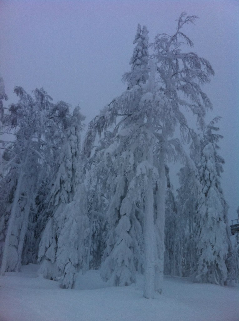Александр Невский | 