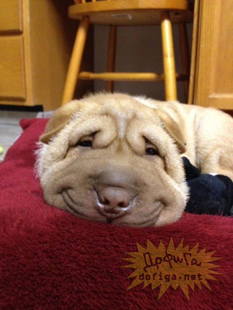 Саня Оськин | Снежногорск