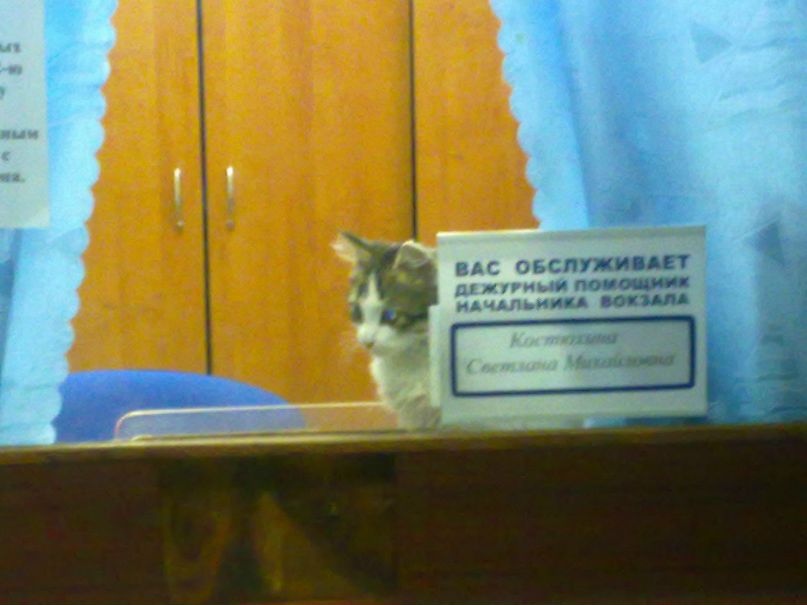 Денис Тхорук Creo_TD | Санкт-Петербург