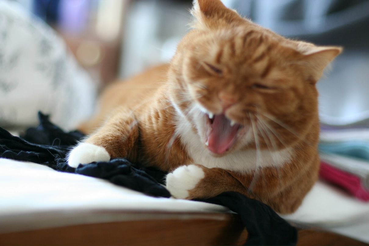 Дарья Гусева | Москва