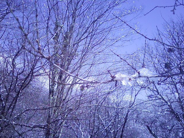 Ирина Макарова | Сочи