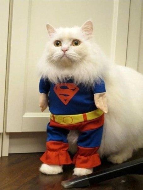 Максим Бабин | Самара