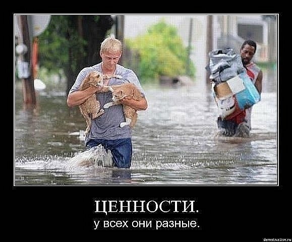 Николь Родригес | 