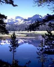 №1, Андрей Жолобов №1, Андрей Жолобов