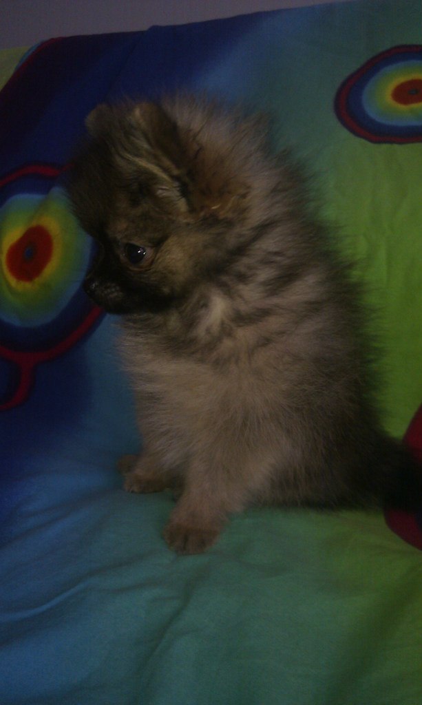 Алиса Парамохина | Москва