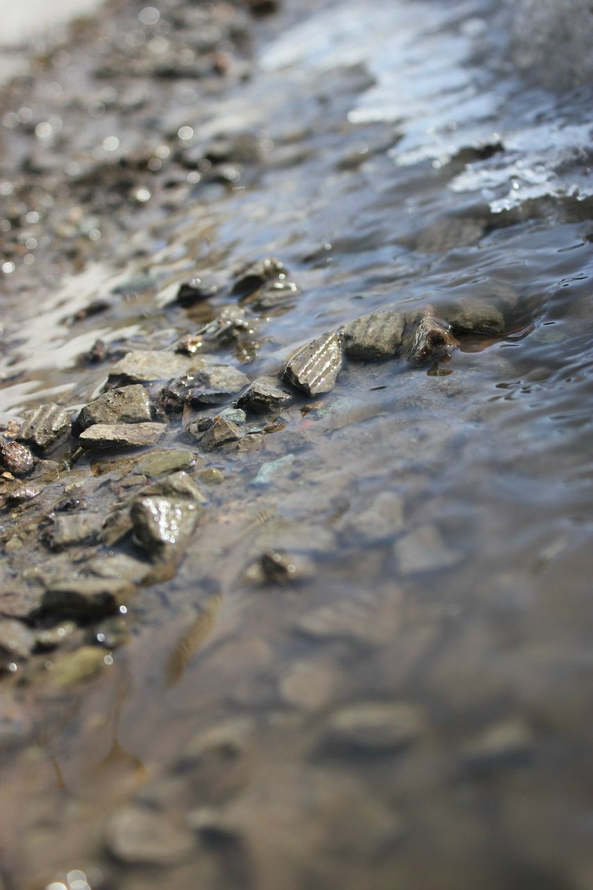 Роман Мезев | Новосибирск