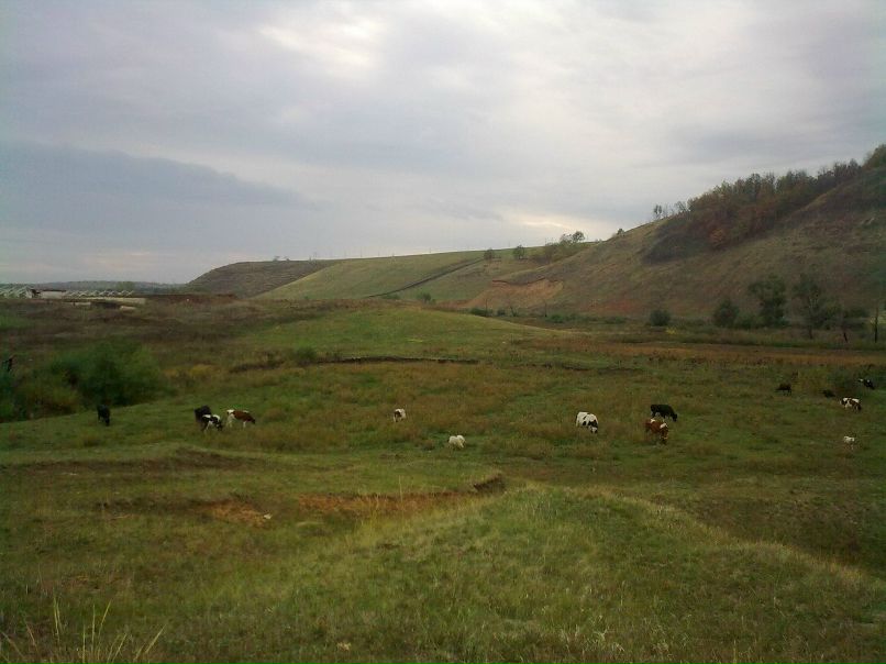 Татьяна Терехова | Альметьевск