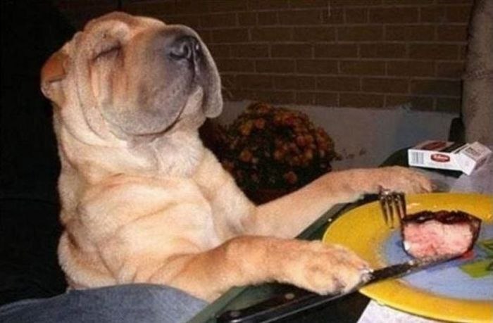 Ярослав Комаренко Jarik | Киев