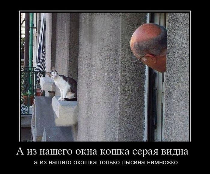 Макс Корепан | Химки