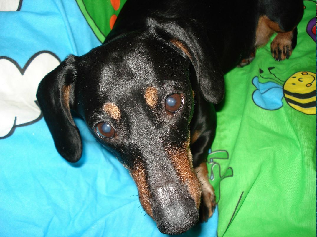 Марина Гуткина | Санкт-Петербург