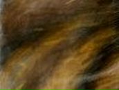 Марина Мельник | Киев