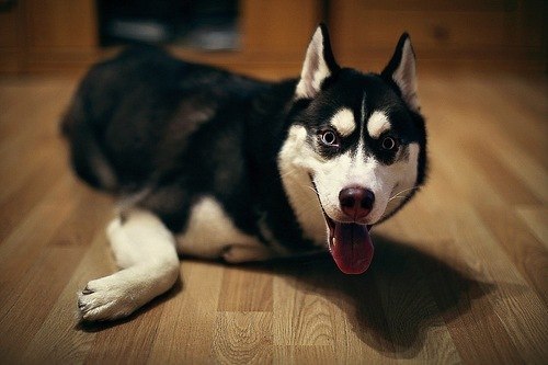 Андрей Чопоров | Красноярск