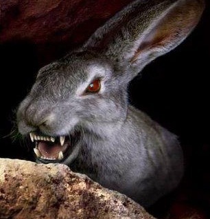 №102, Анастасия Вирясова №102, Анастасия Вирясова