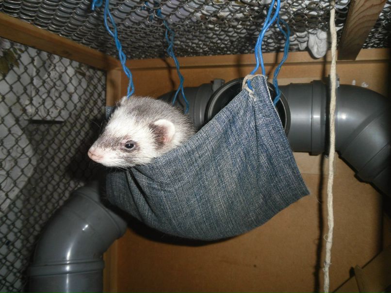 Вера Бойко | Северск