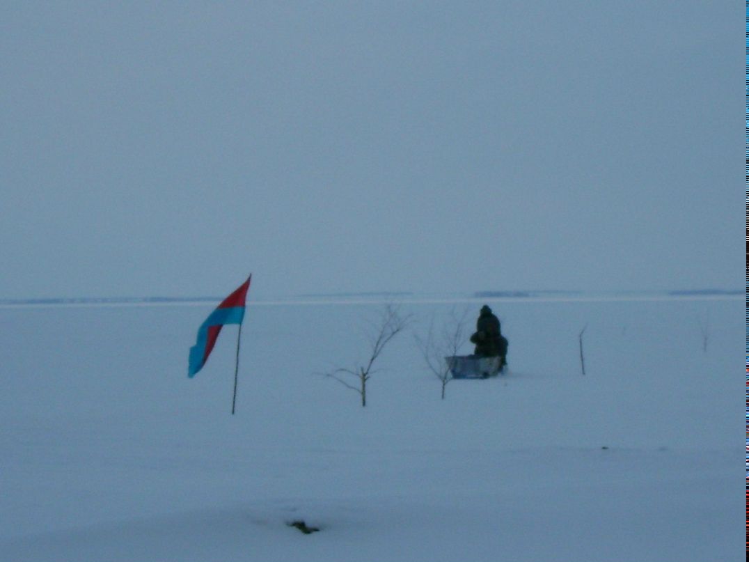 Нет Данных | Rio Culul