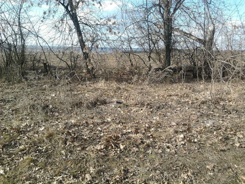 Екатерина Поплият | Краматорск