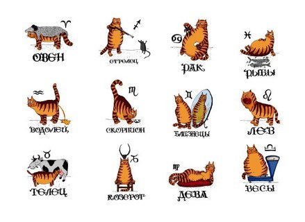 Ирина Лузина | Пермь