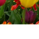 Ирина Рудь | Краматорск