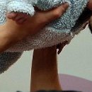 №29 Камила Омарова 25.09.1988: профиль, фото, статус - ВКонтакте