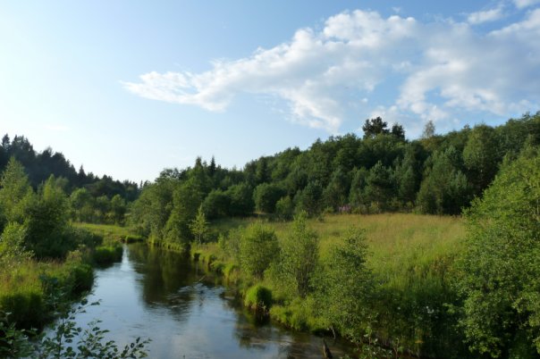 №2, Александр Калинин, 40 лет, Череповец №2, Александр Калинин, 40 лет, Череповец