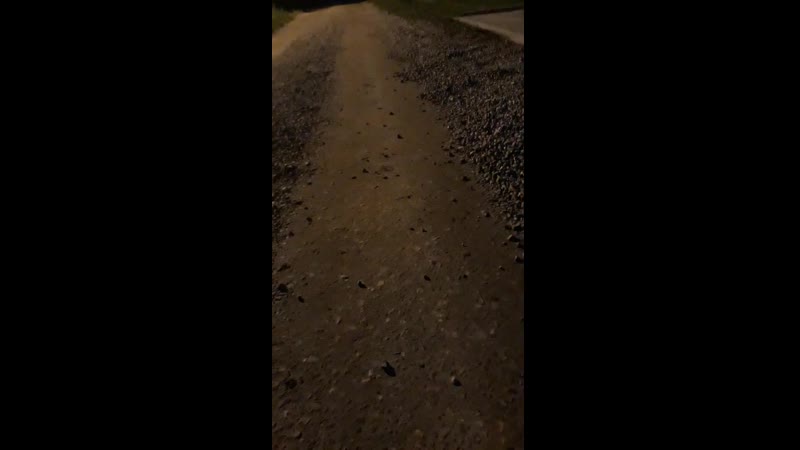 йобнутый соседский кот эпилептик кид