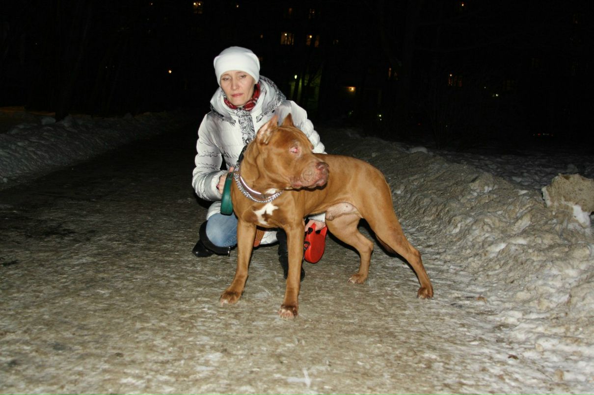 Надежда Холодная | Санкт-Петербург
