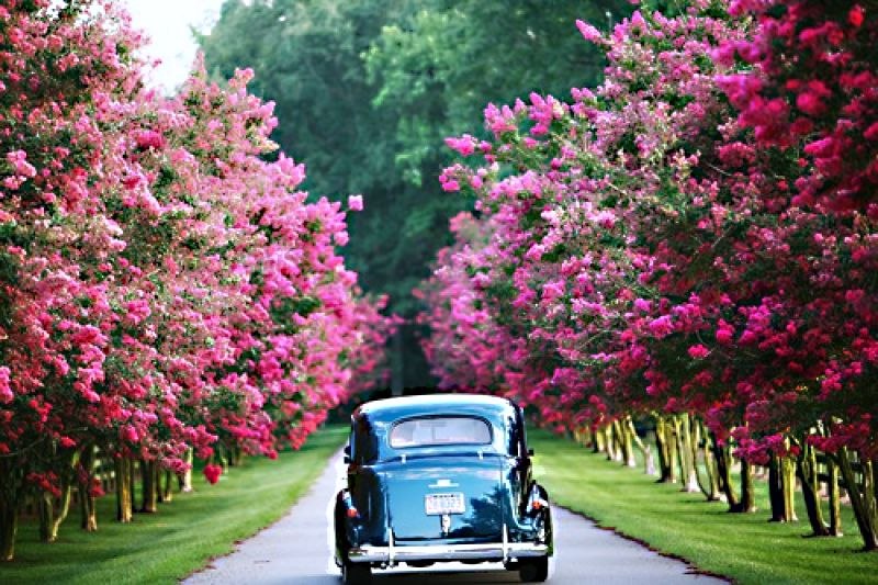 Наталья Чернега | Таганрог