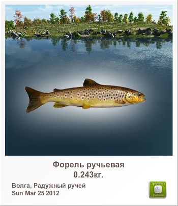 Андрей Васюк Романович | 