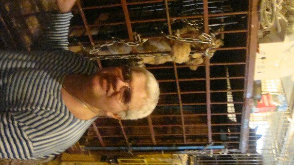 №29, Евгений Васильев №29, Евгений Васильев