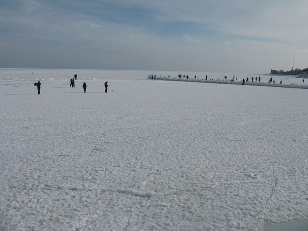 Олег Везне | Одесса