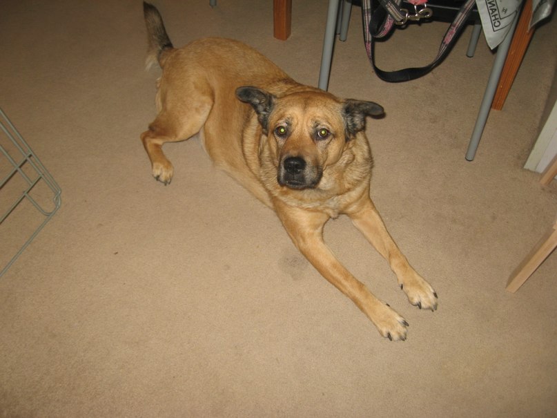 Анастасия Римская | Toronto