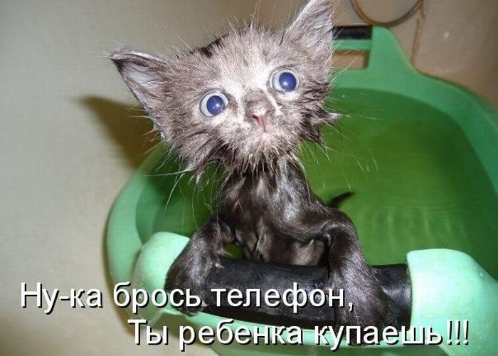 Людмила Митяева | Москва