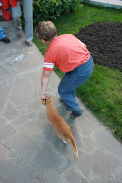 №73, Виталия Болтунова, Симферополь №73, Виталия Болтунова, Симферополь