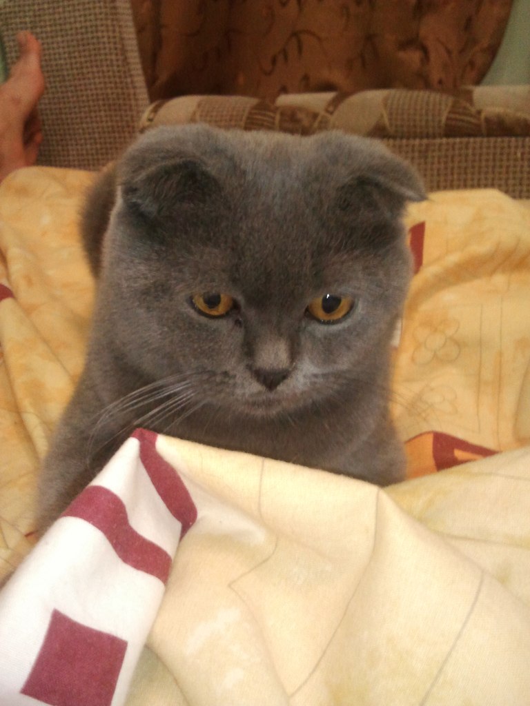 Елена Мельниченко | Днепр (Днепропетровск)